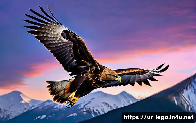 법무사 사무소 운영 시 필요한 서류 관리 방법 관련 이미지 1